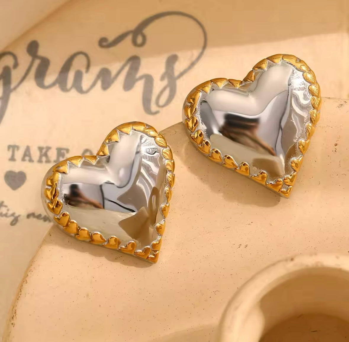 Elly Stainless Steel Earrings