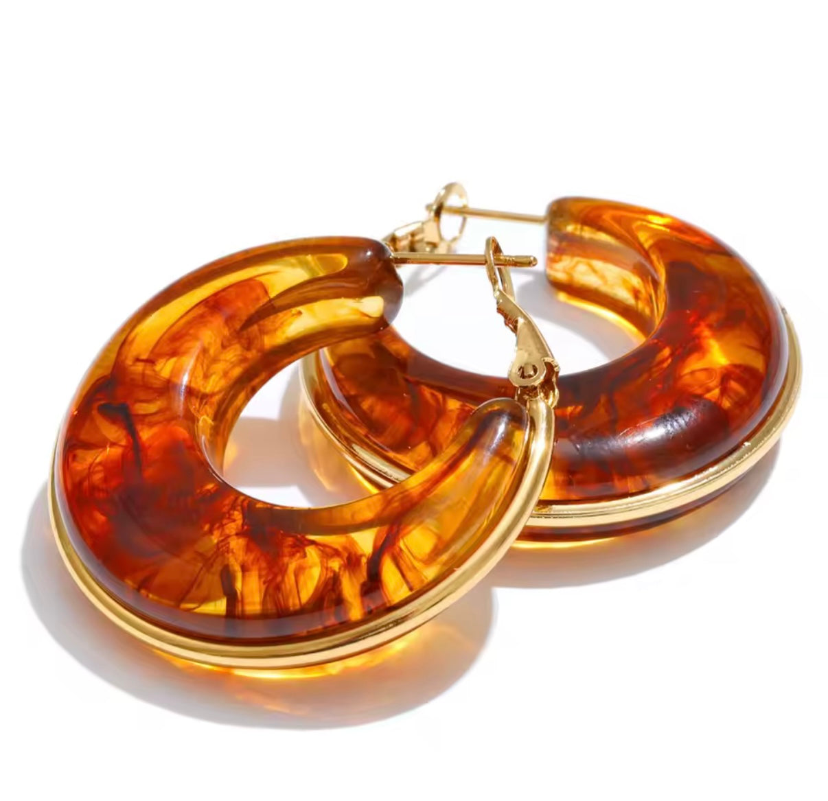 Lorena Stainless Steel Earrings