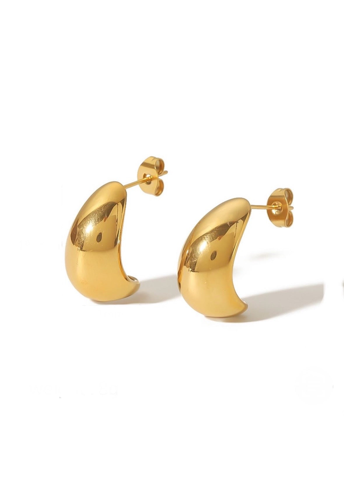 Vera Stainless Steel Earrings