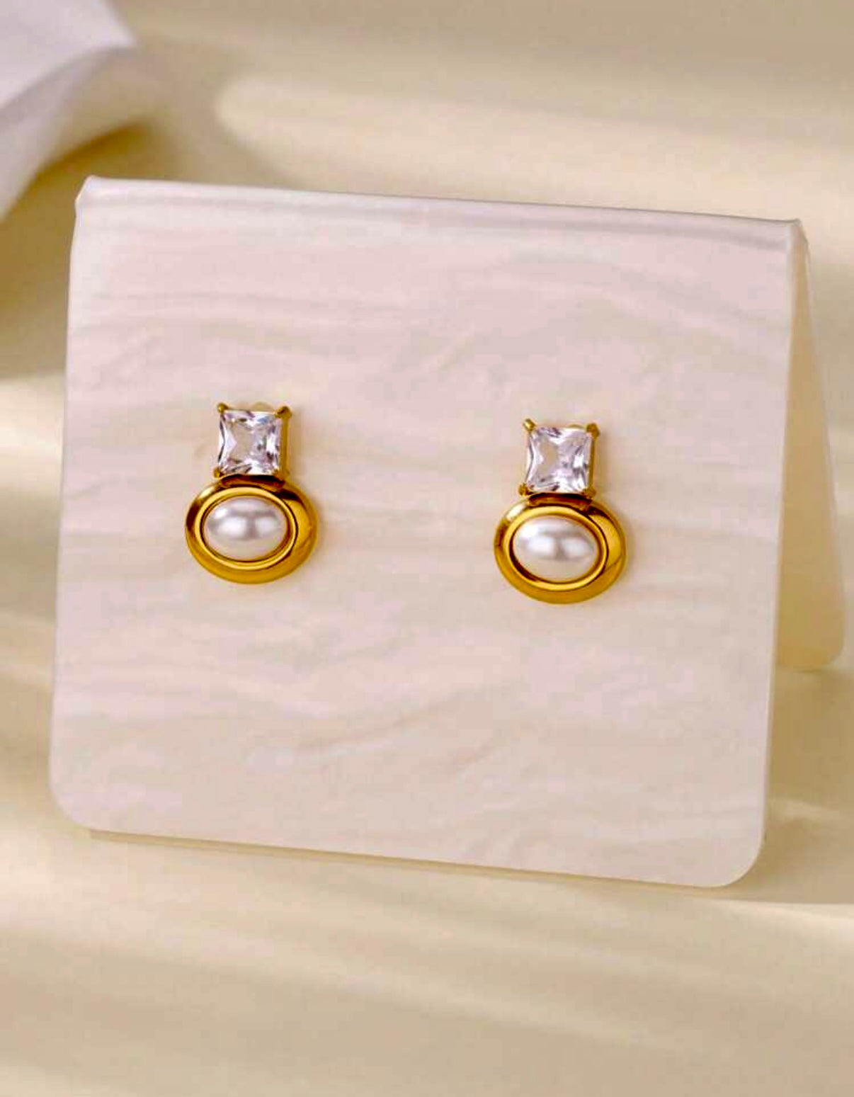 Taylor Stainless Steel Earrings