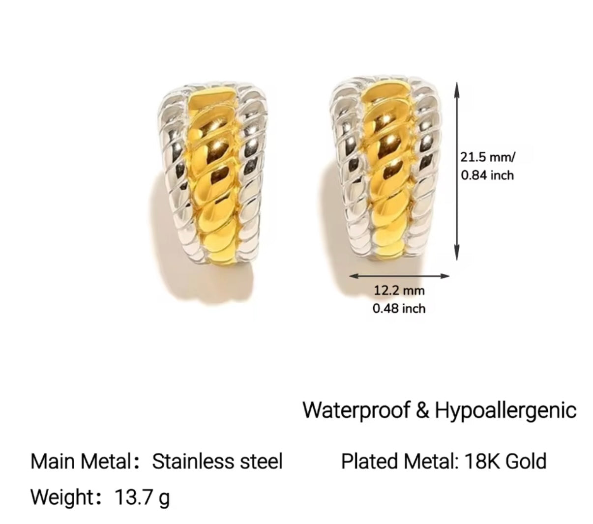 Glory Stainless Steel Earrings