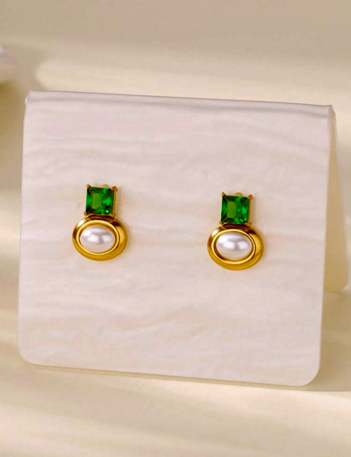Taylor Stainless Steel Earrings