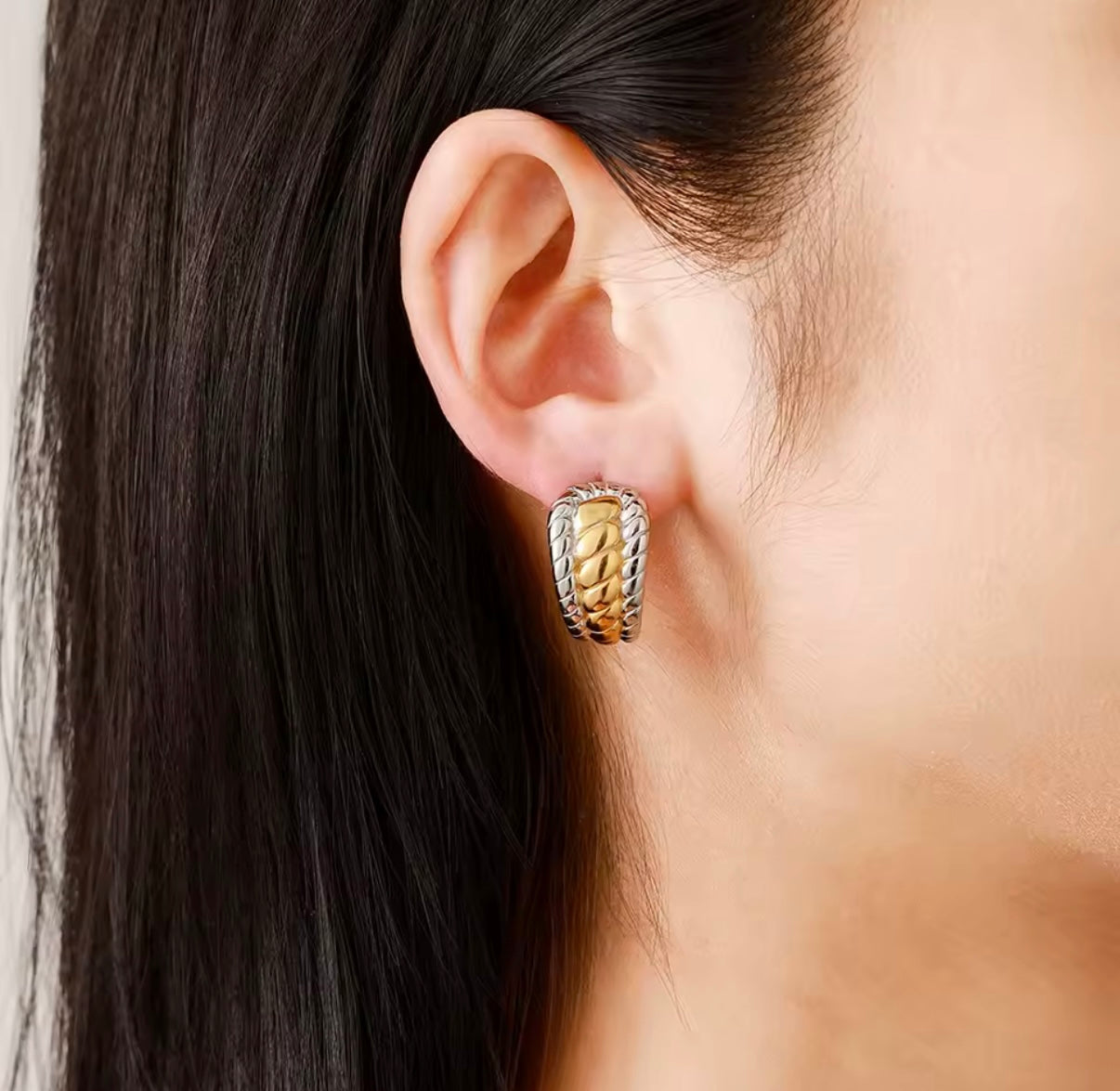 Glory Stainless Steel Earrings