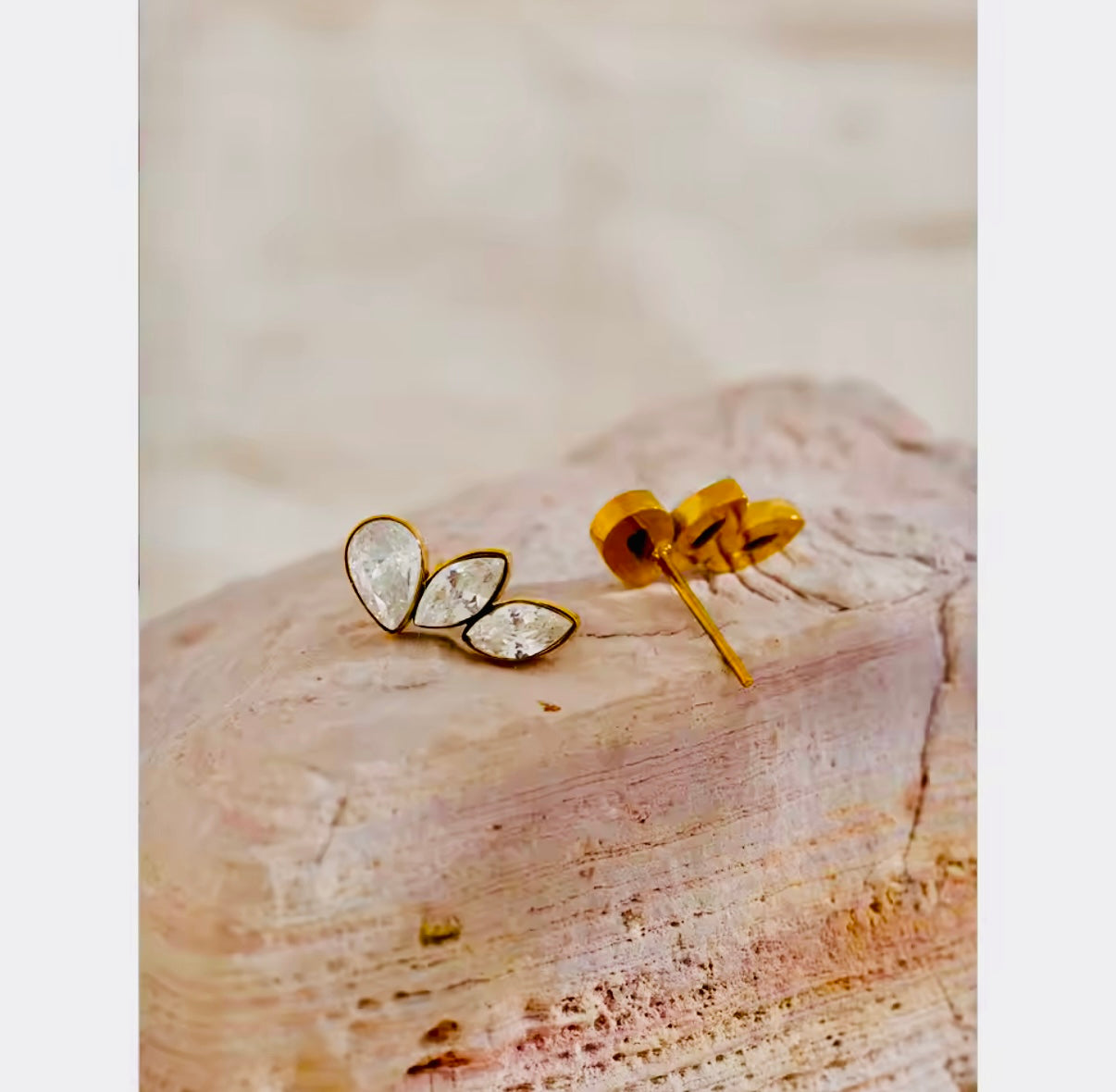 Merry Stainless Steel Earrings