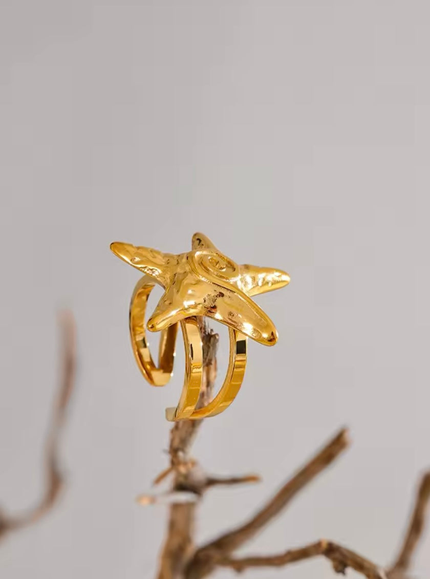 Seastar Stainless Steel Ring