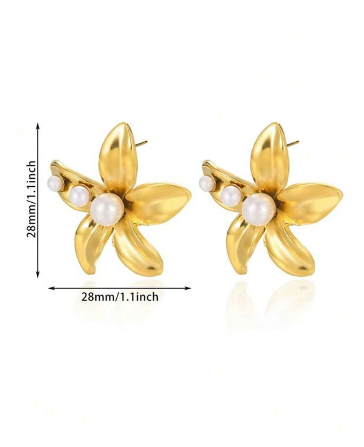 Rossie Stainless Steel Earrings