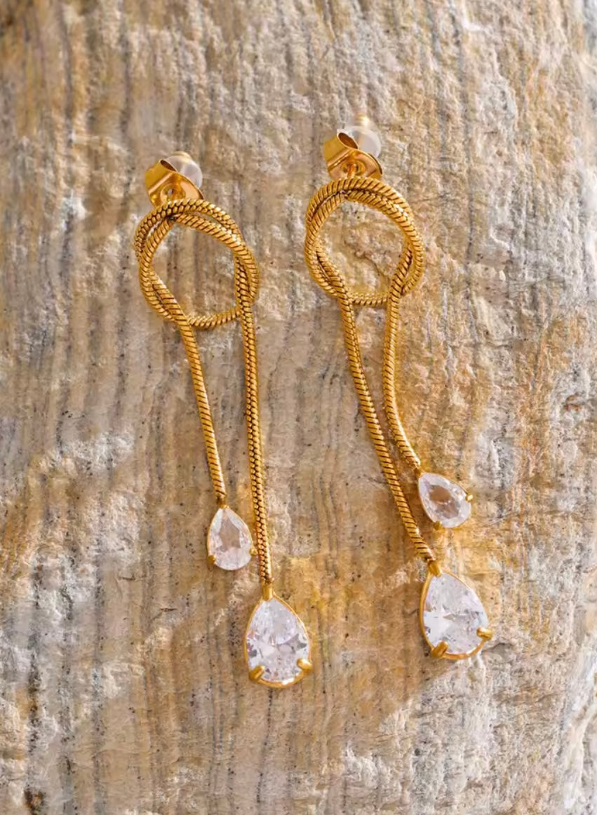 Joy Stainless Steel Earrings