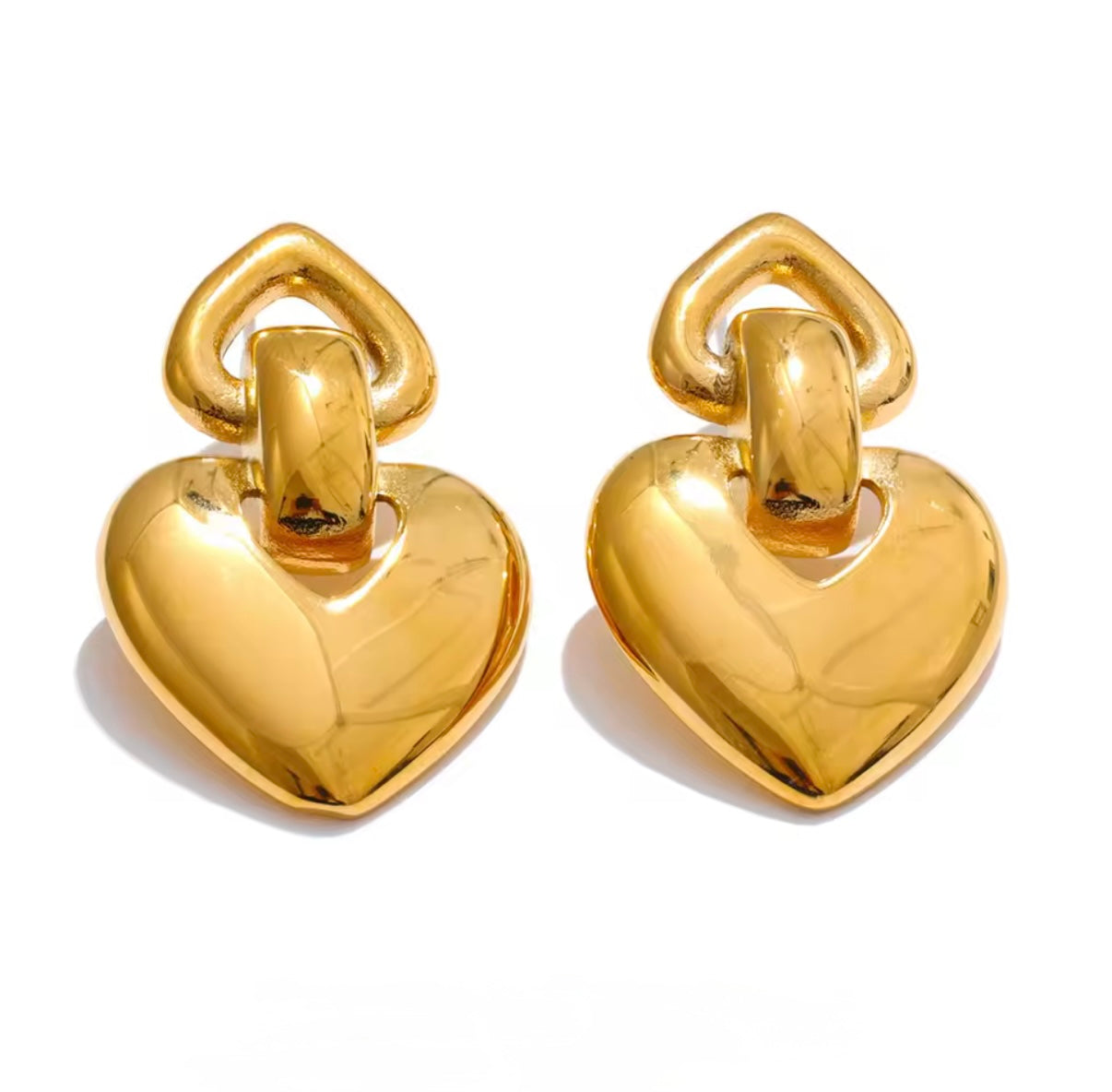 Amore Stainless Steel Earrings