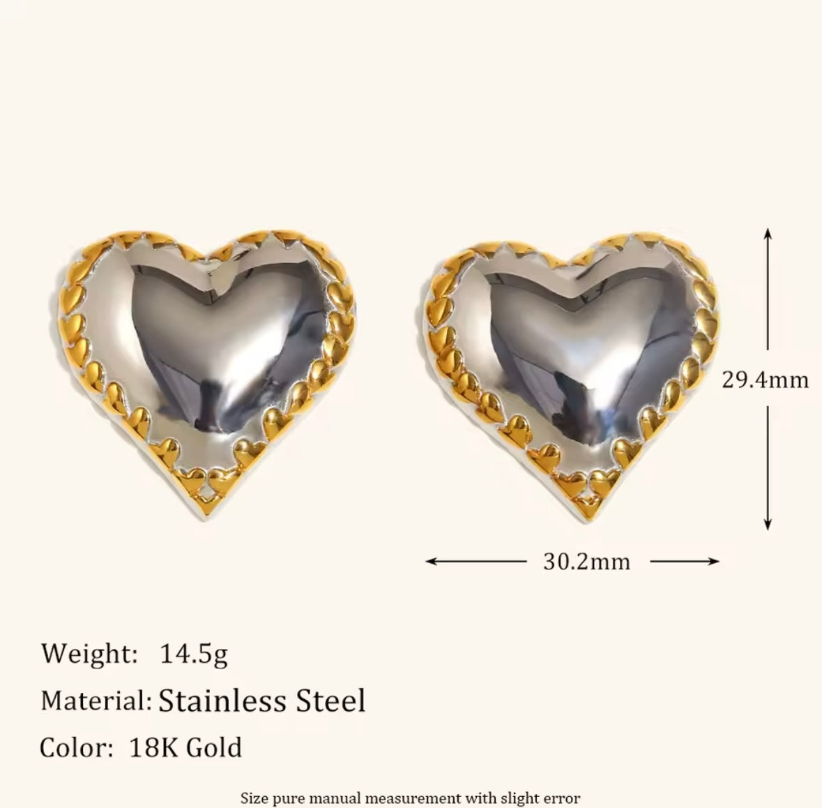 Elly Stainless Steel Earrings