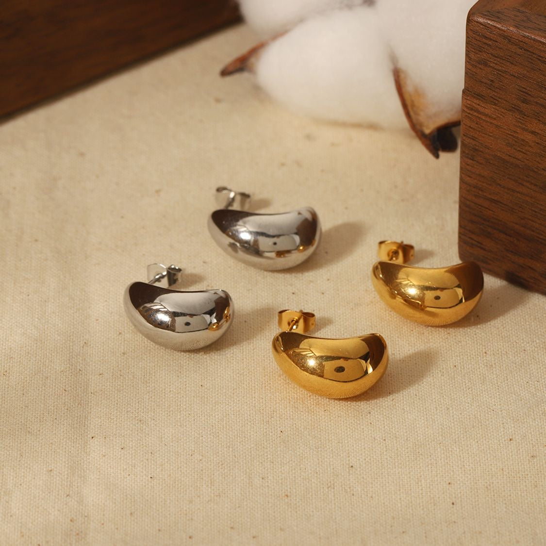 Vera Stainless Steel Earrings