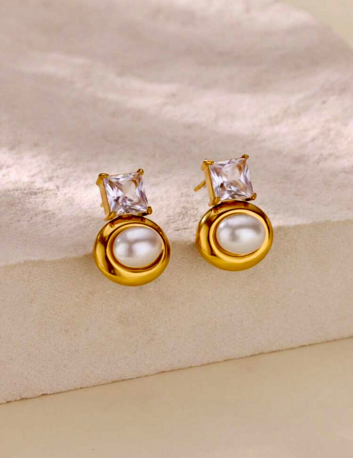 Taylor Stainless Steel Earrings