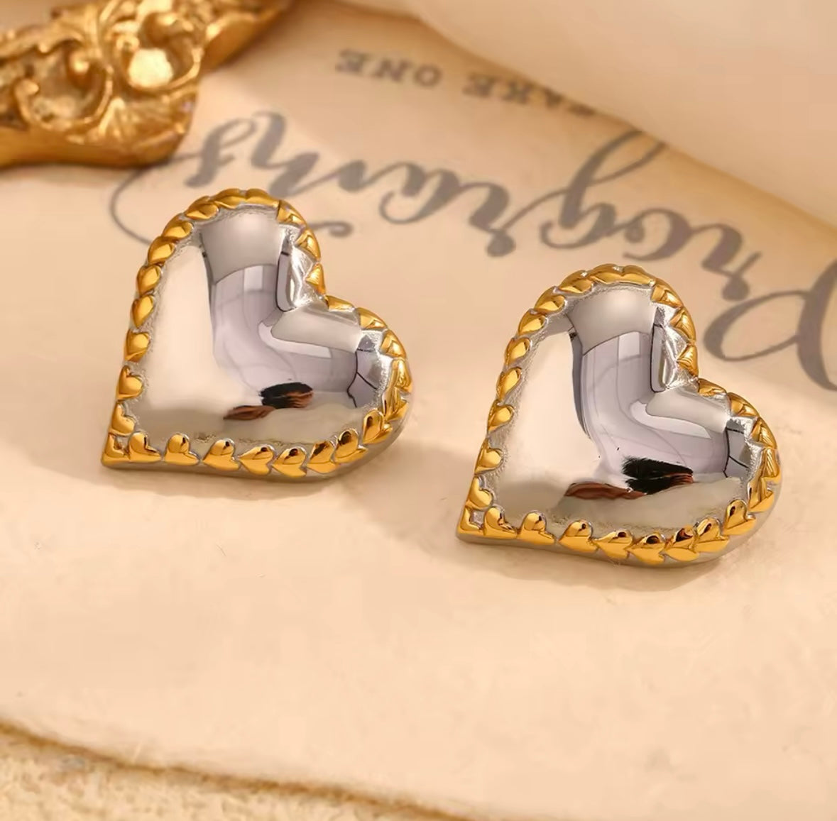 Elly Stainless Steel Earrings
