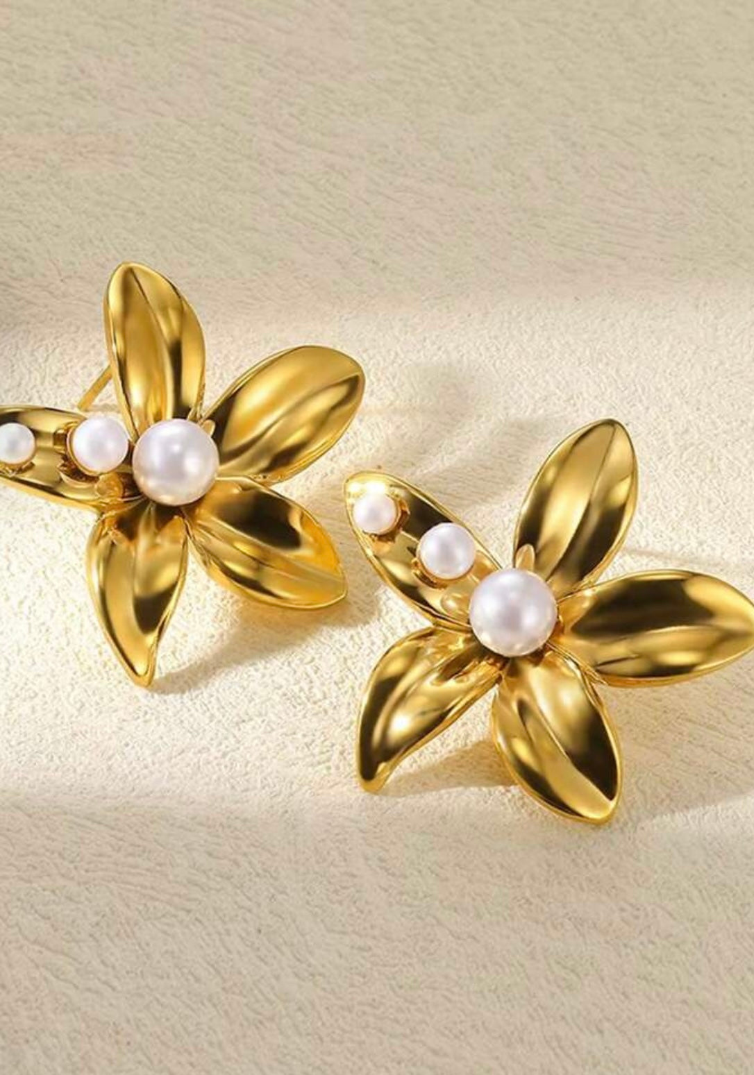 Rossie Stainless Steel Earrings