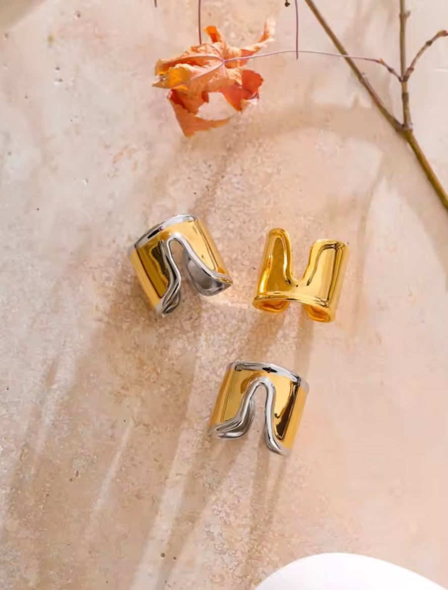 Venice Stainless Steel Ring
