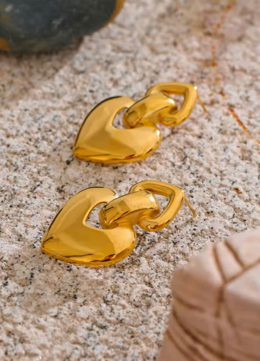 Amore Stainless Steel Earrings