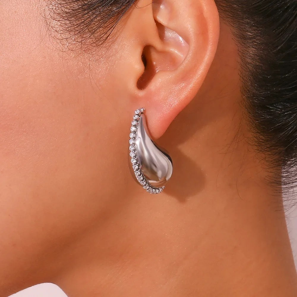 Krystal Droplet Stainless Steel Earrings