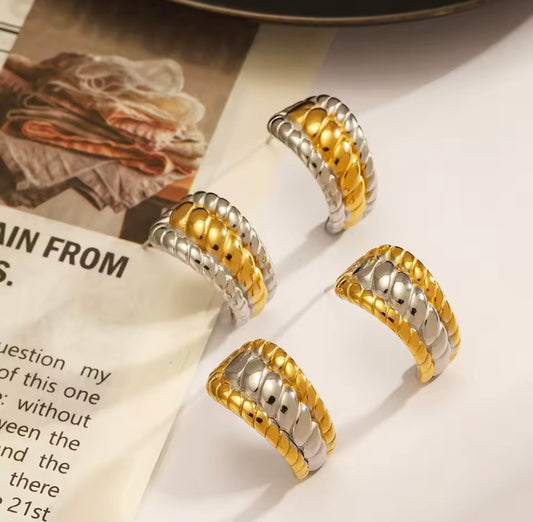 Glory Stainless Steel Earrings