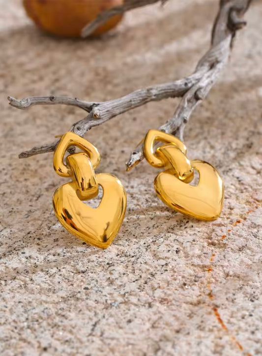 Amore Stainless Steel Earrings