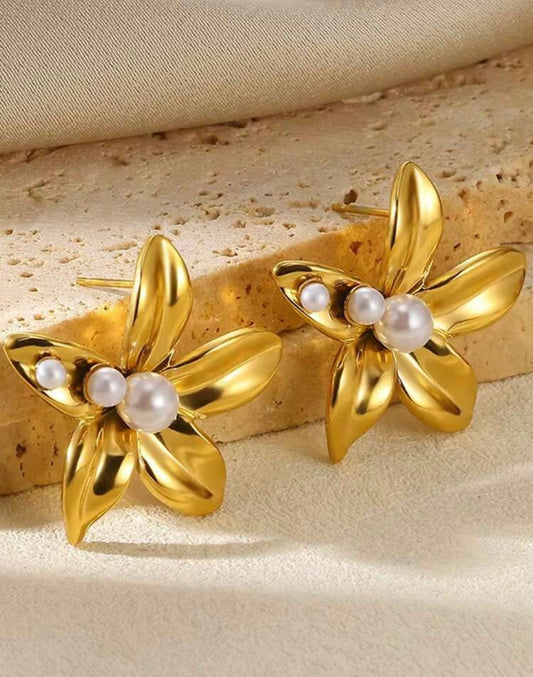 Rossie Stainless Steel Earrings