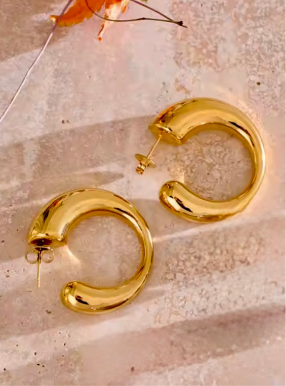 Kelsy Stainless Steel Earrings