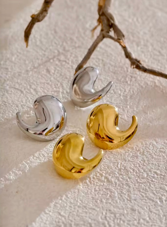 Dixie Stainless Steel Earrings