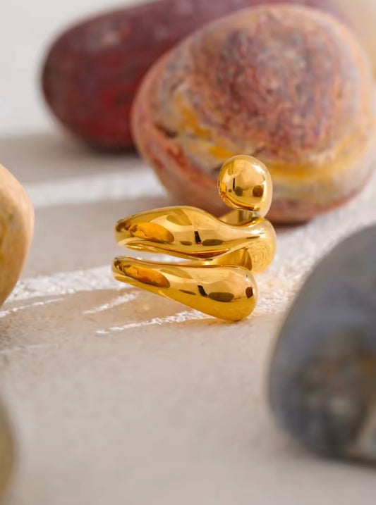 Venus Stainless Steel Ring