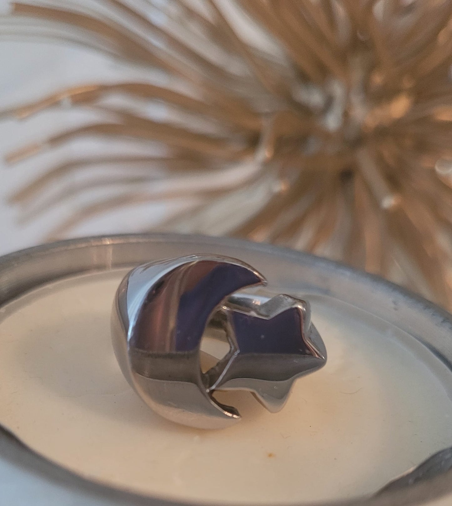 Moonlight Stainless Steel Ring