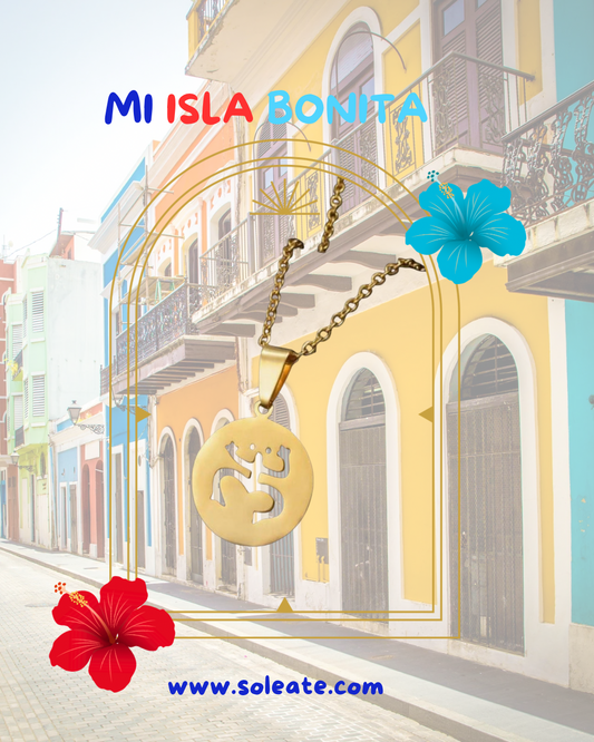 Coquí 2 Stainless Steel Necklace