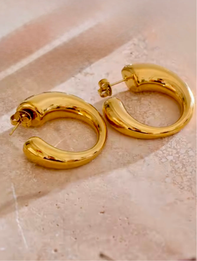 Kelsy Stainless Steel Earrings