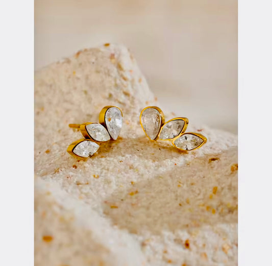 Merry Stainless Steel Earrings