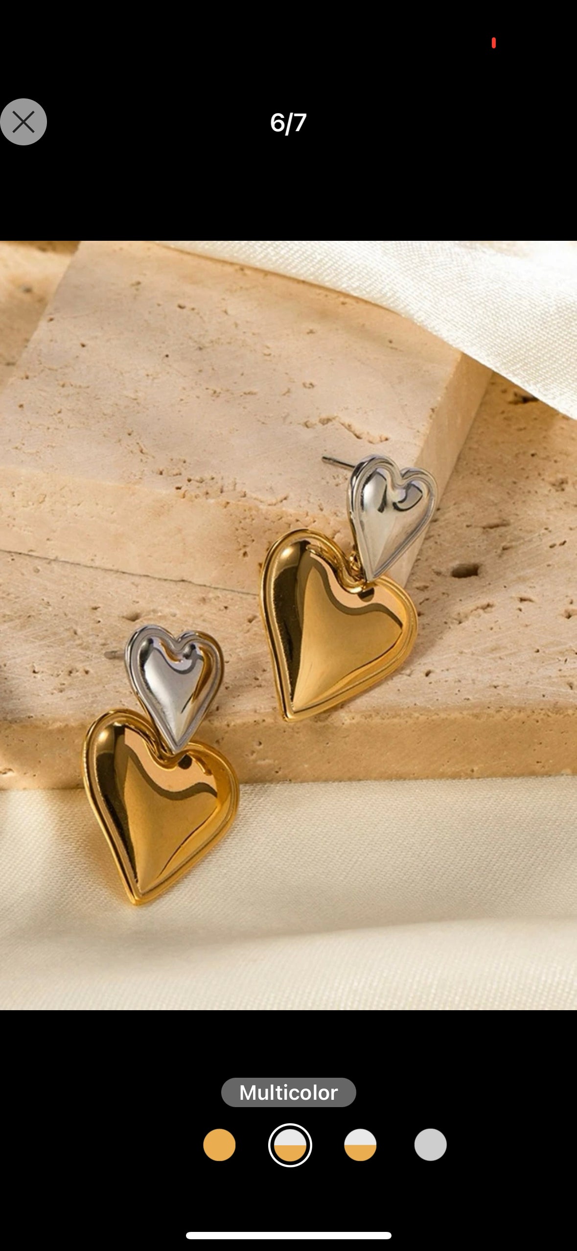 Double Heart Stainless Steel Earrings