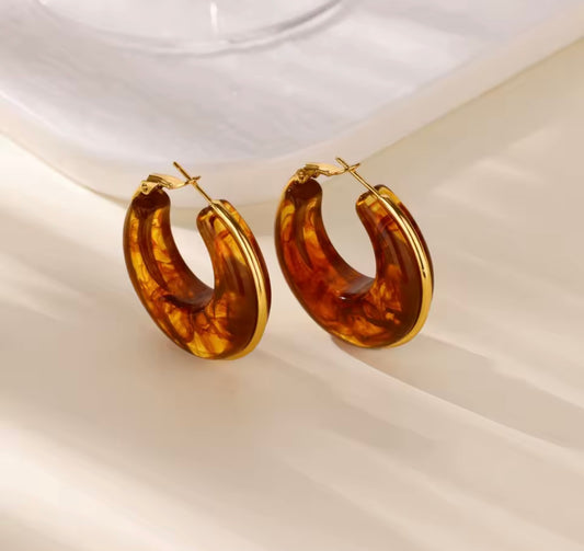 Lorena Stainless Steel Earrings