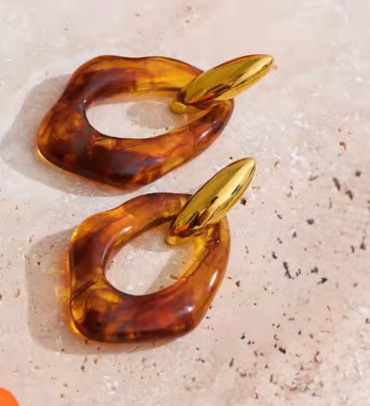 Ally Stainless Steel Earrings