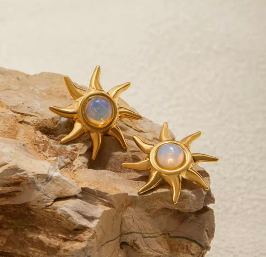 Sunny Mode Stainless Steel Earrings