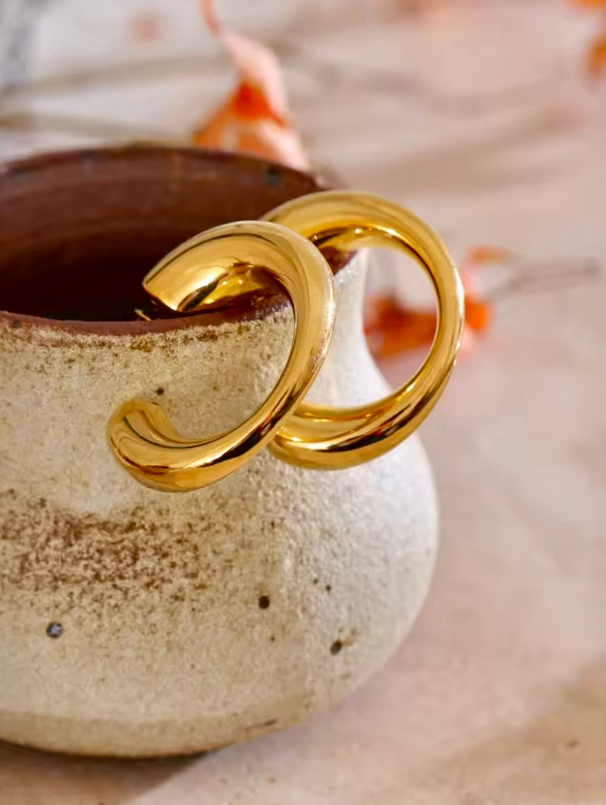 Kelsy Stainless Steel Earrings